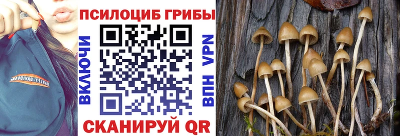 цена   Старый Оскол  Псилоцибиновые грибы прущие грибы 
